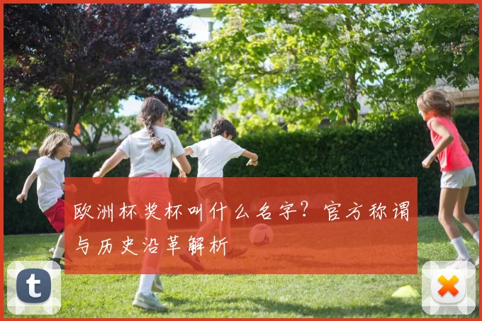 欧洲杯奖杯叫什么名字？官方称谓与历史沿革解析