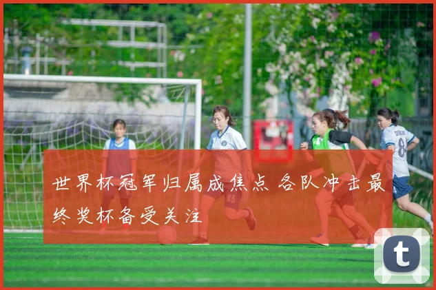 世界杯冠军归属成焦点 各队冲击最终奖杯备受关注