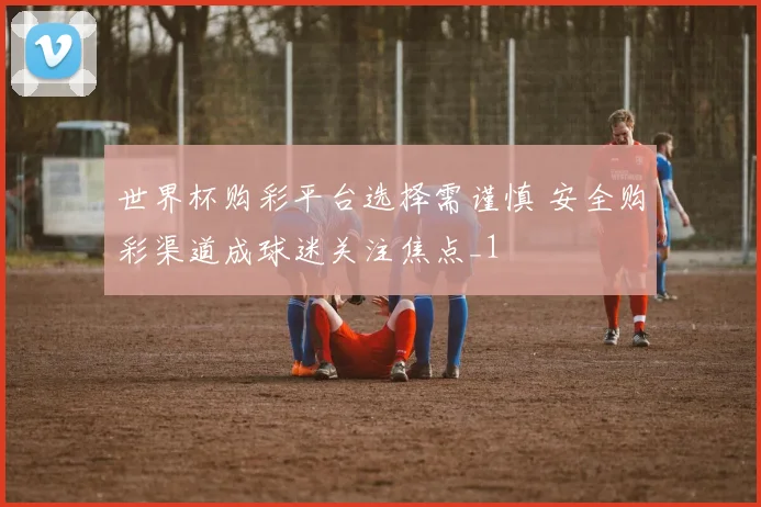 世界杯购彩平台选择需谨慎 安全购彩渠道成球迷关注焦点_1