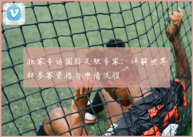 独家专访国际足联专家：详解世界杯参赛资格与申请流程